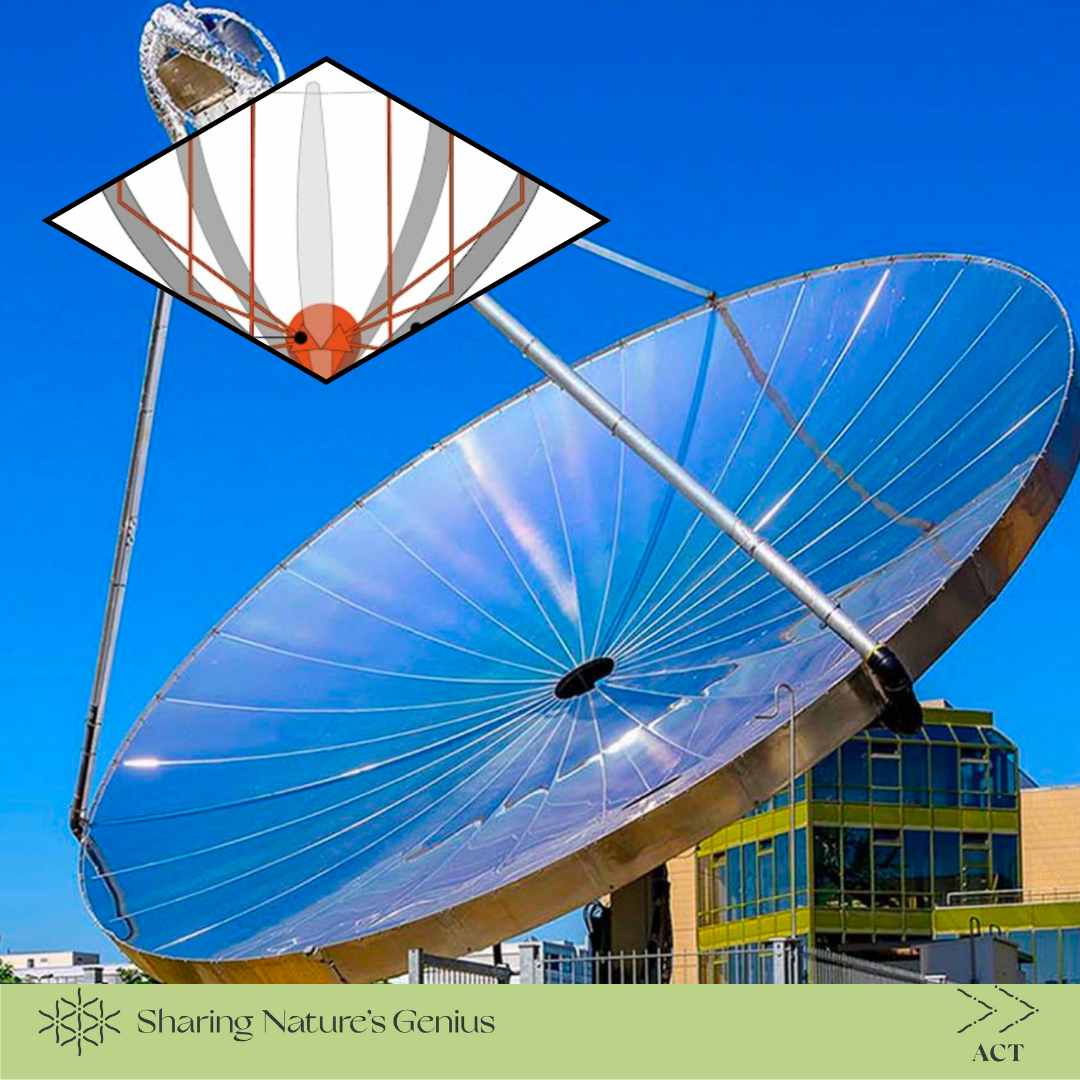 Parabolic Shape Focuses Heat Energy