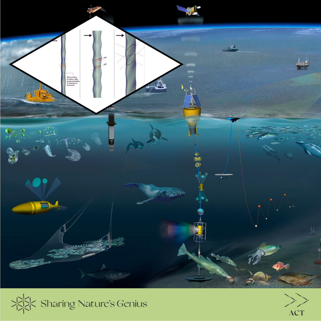 Ultra-sensitive Whiskers Inspire Hydrodynamic Surface