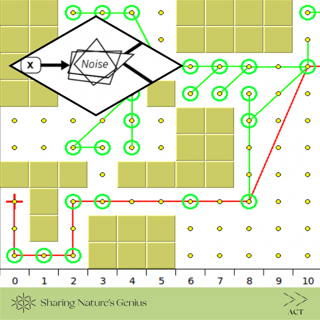 Optimize Time and Distance via Errors in Pheromone Sensing