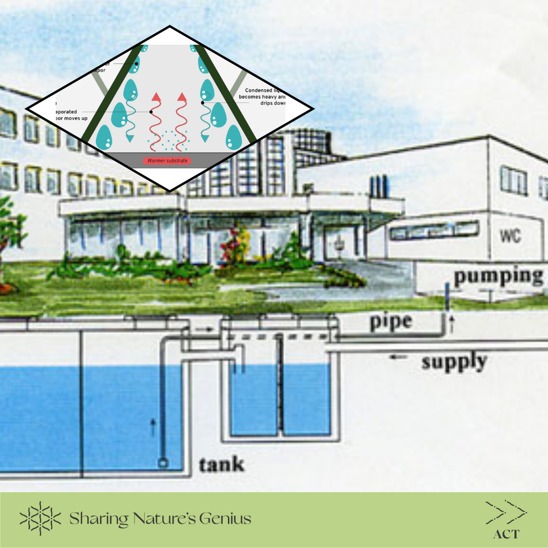 Self-Cooling and Moisture Trapping Structures